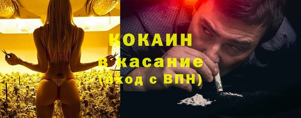 прущая мука Арсеньев